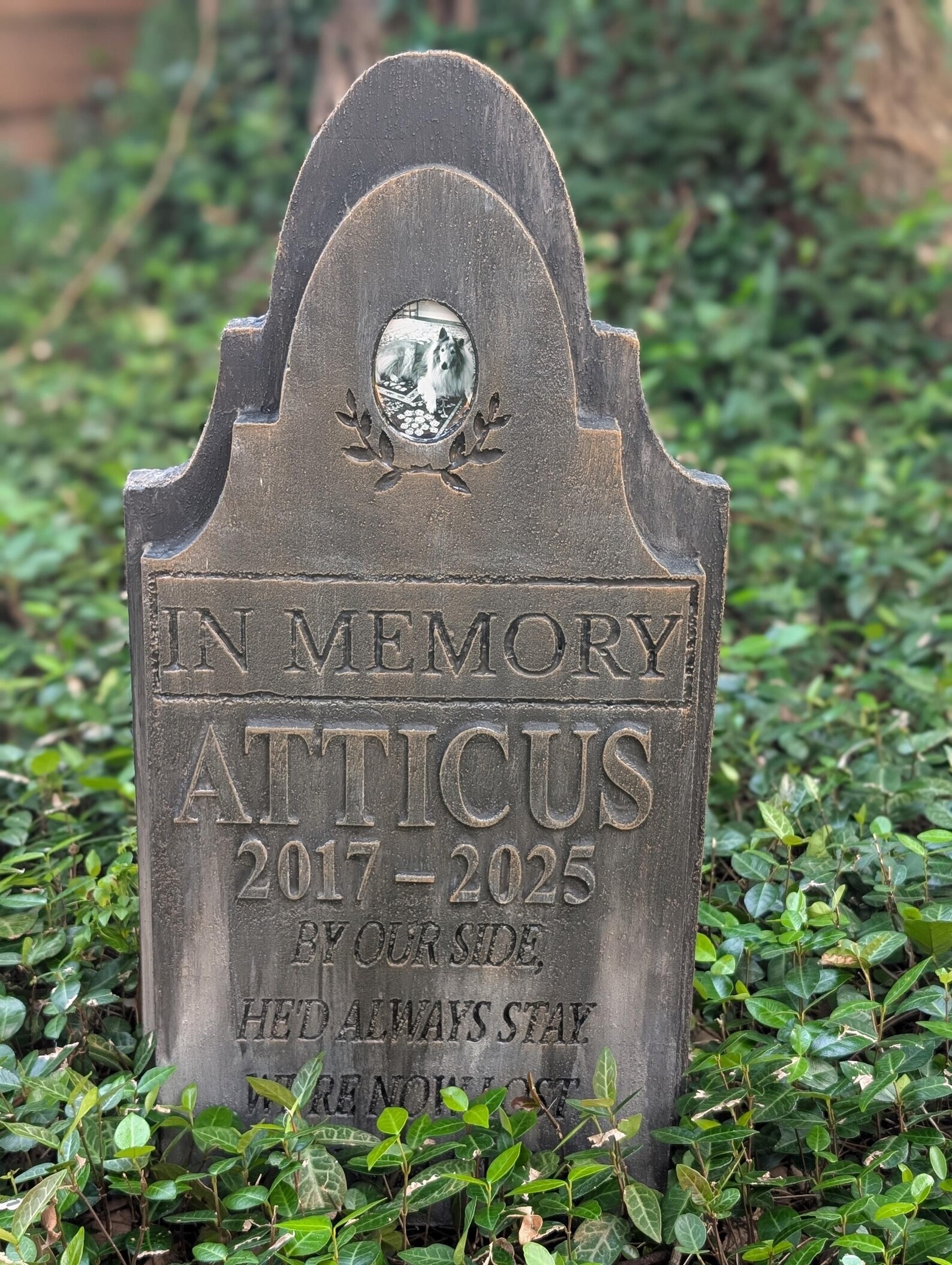 Atticus Portrait Grave