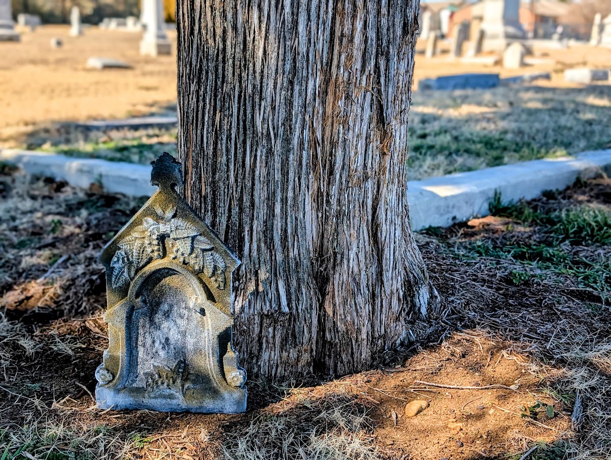 Unmarked Custom Grave by a Tree