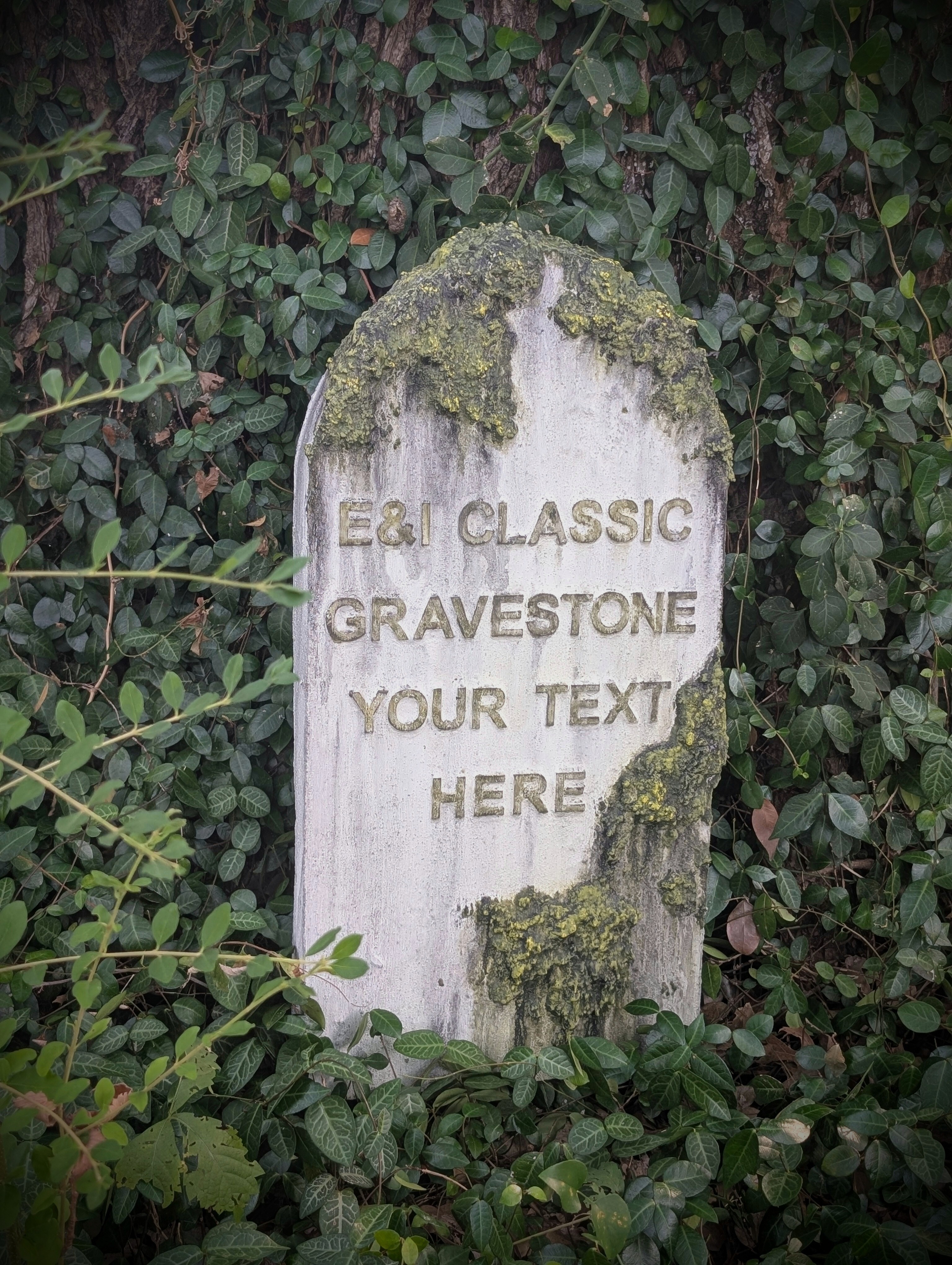 E&I Classic Vignette