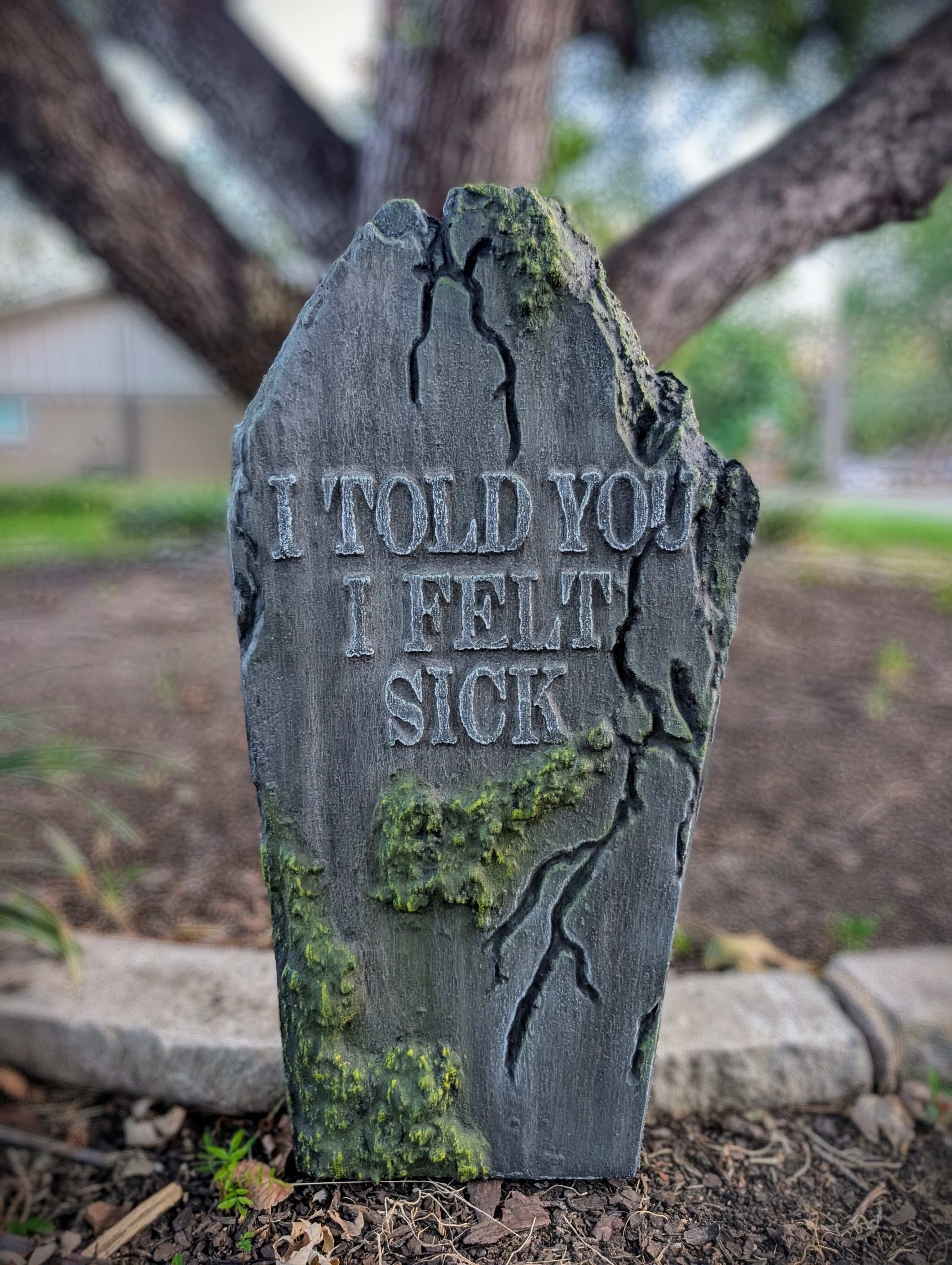 Cracked I told you I felt sick