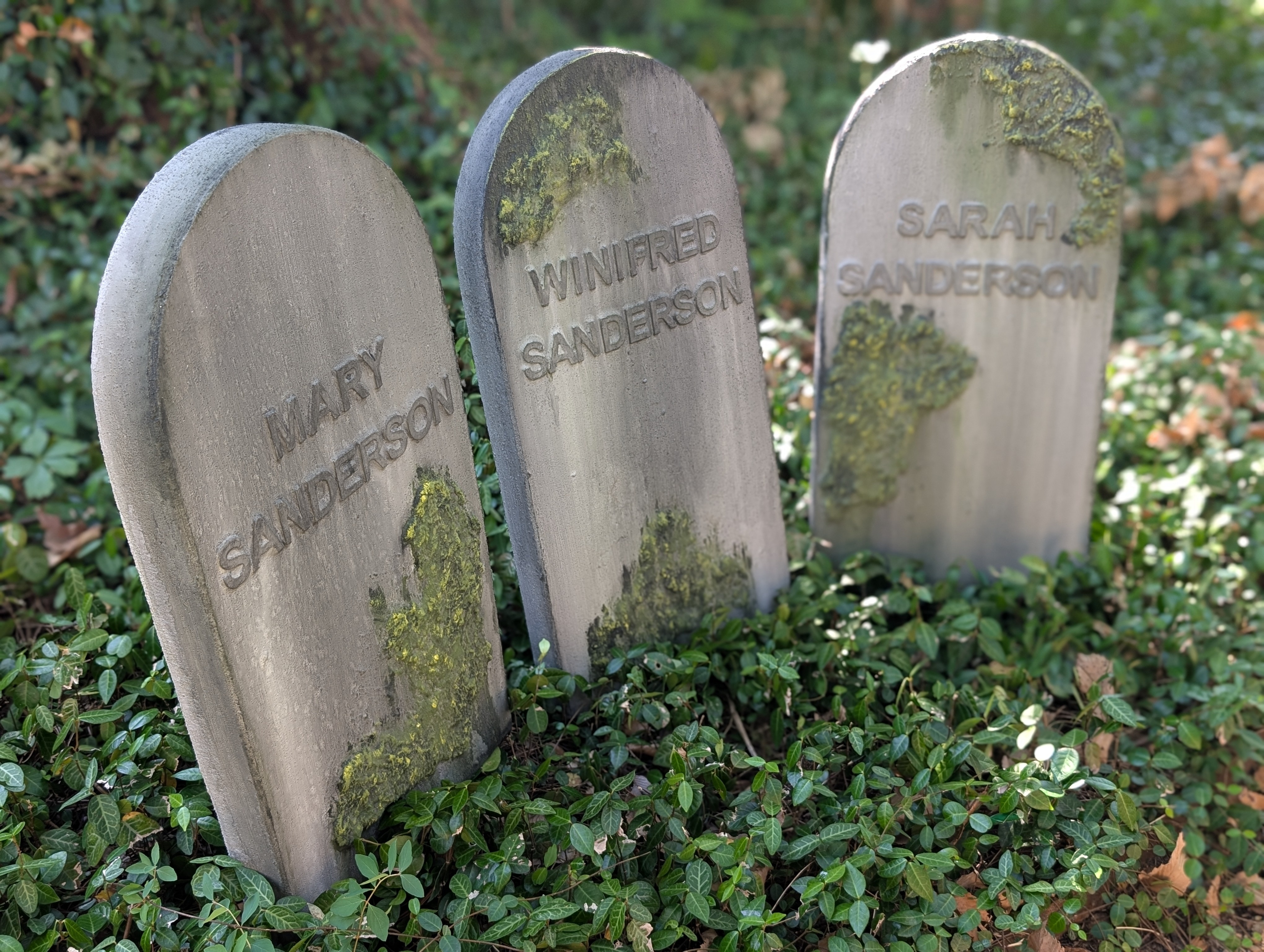 Sanderson Sisters Custom Grave Set