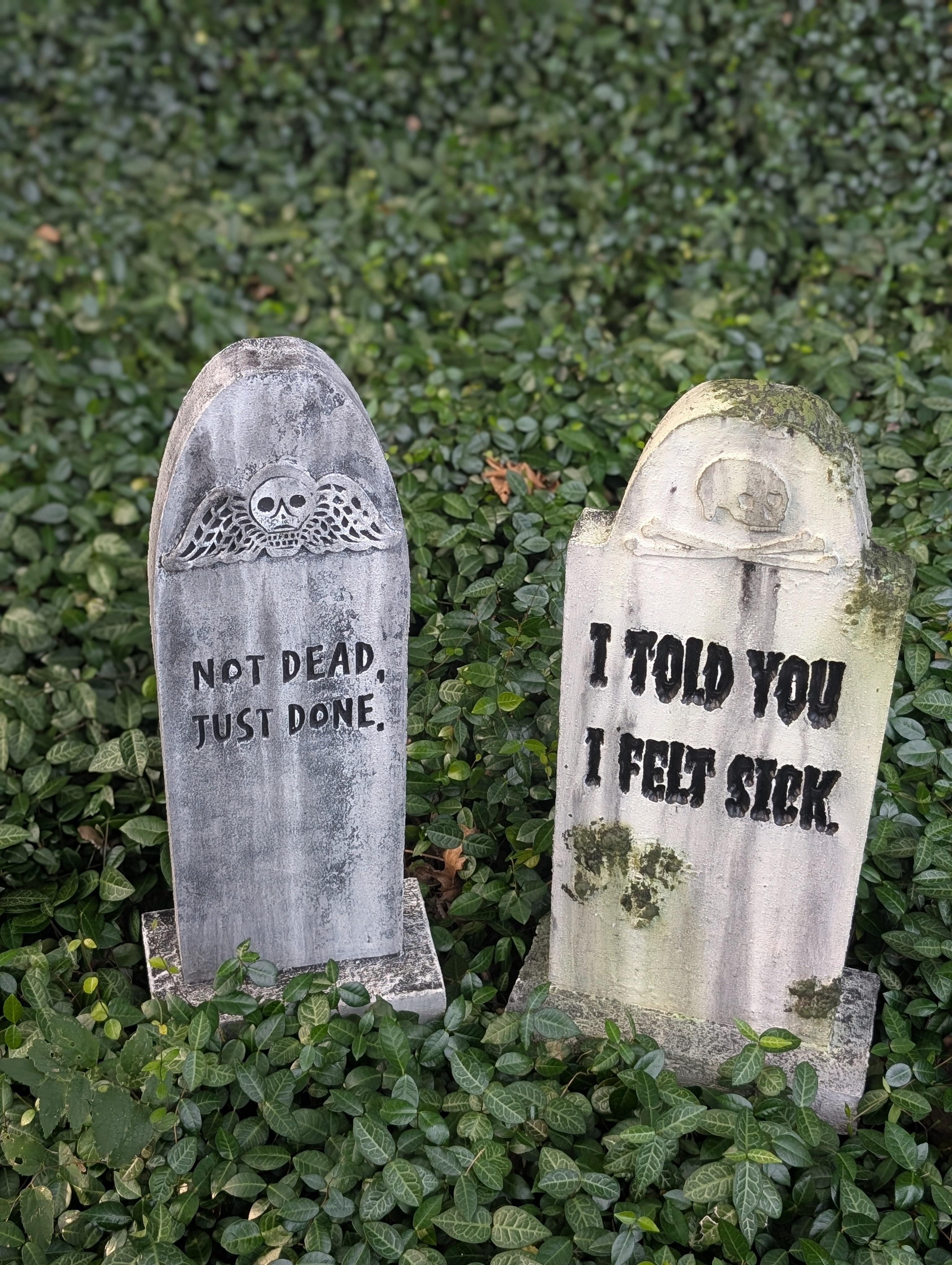 Dark Humor Gravestone Package of 2