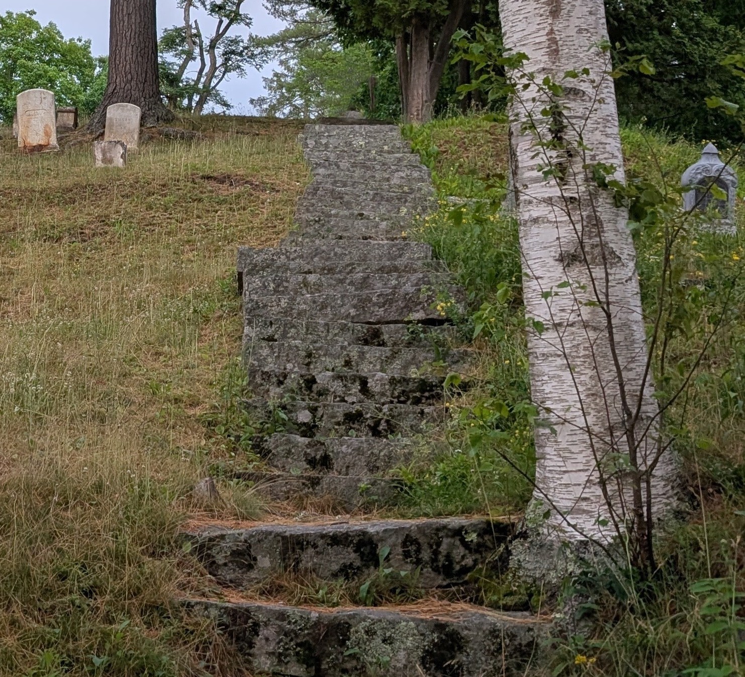 Victorian Cemetery Stairs