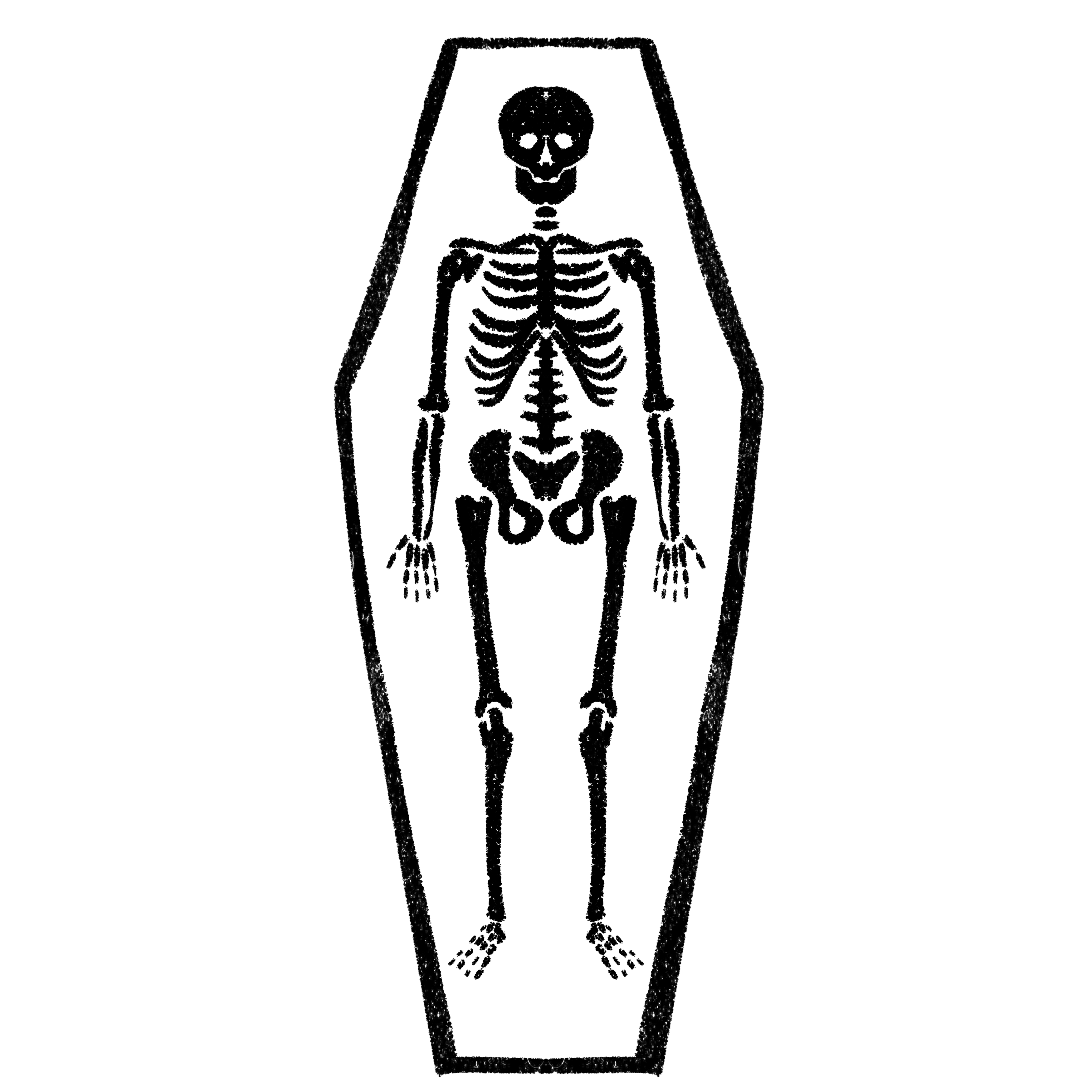 Skeleton and Coffin