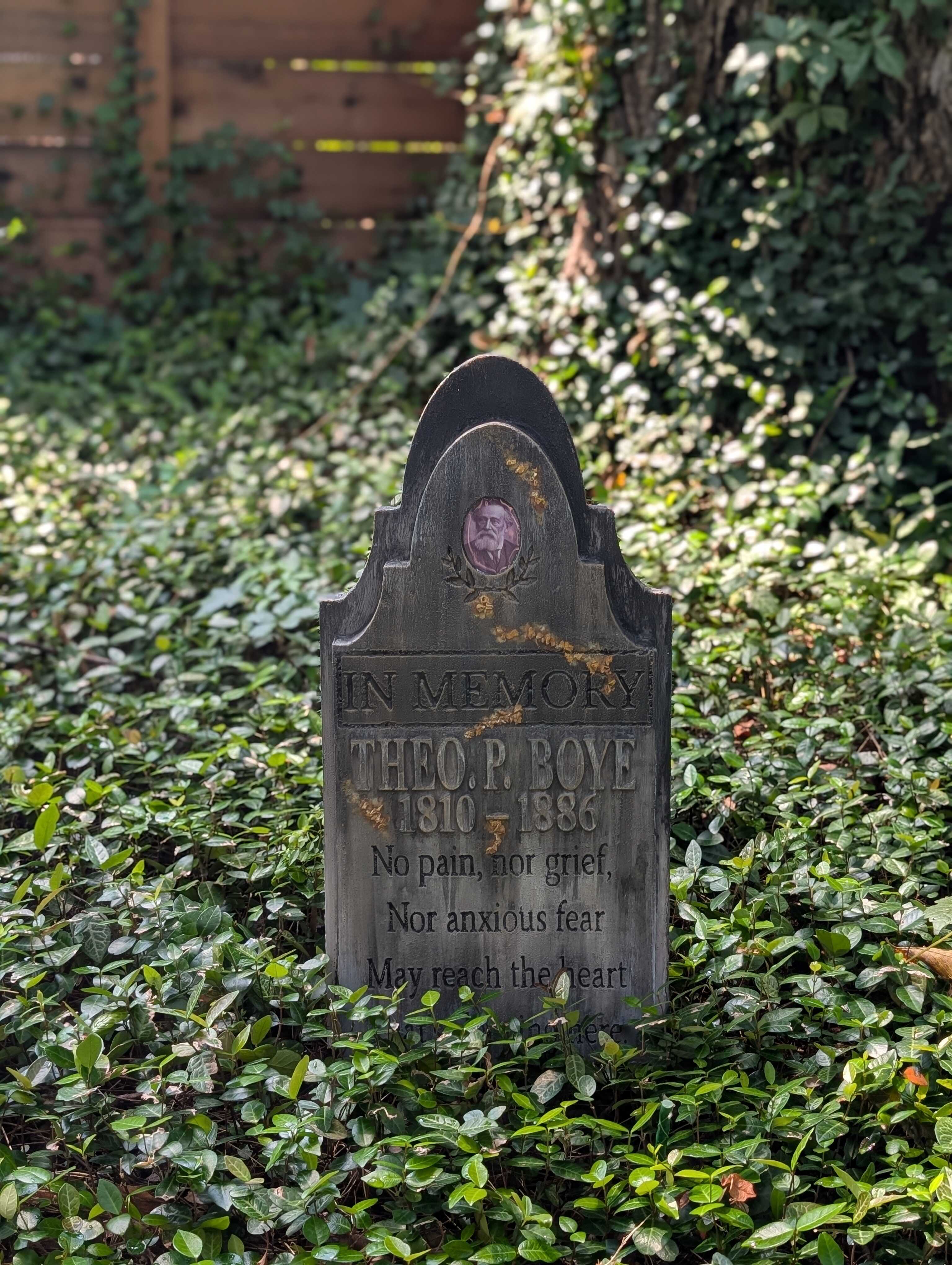 Theo Custom Portrait Grave